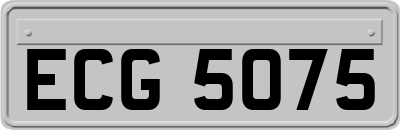 ECG5075