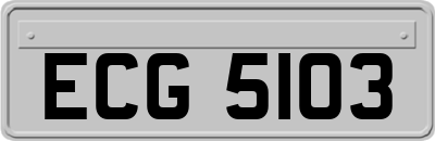 ECG5103