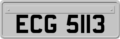 ECG5113