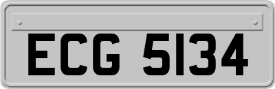 ECG5134