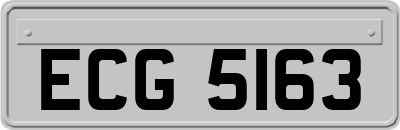 ECG5163