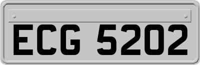 ECG5202