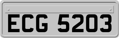 ECG5203