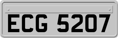 ECG5207
