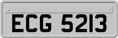 ECG5213
