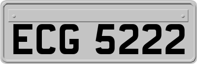 ECG5222