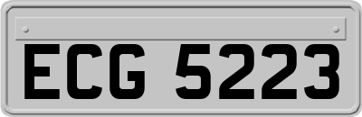 ECG5223