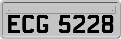 ECG5228