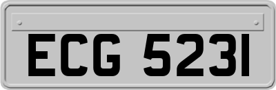 ECG5231