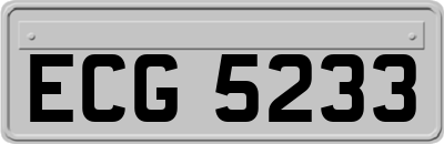 ECG5233