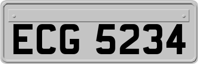 ECG5234