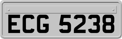 ECG5238