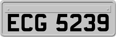 ECG5239