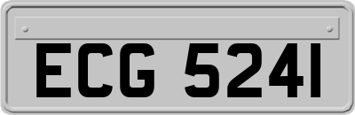 ECG5241