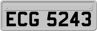ECG5243