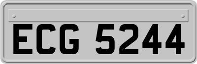 ECG5244