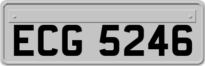 ECG5246
