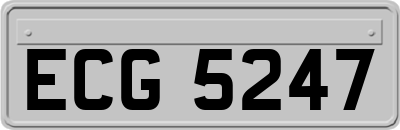 ECG5247