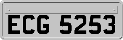 ECG5253