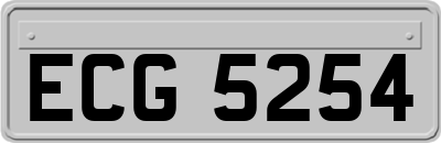 ECG5254