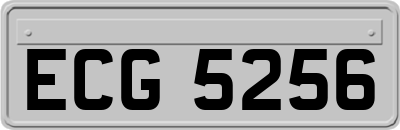 ECG5256