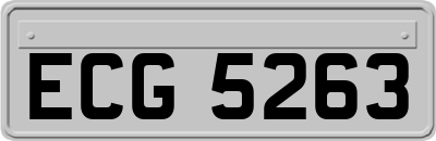 ECG5263