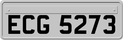 ECG5273