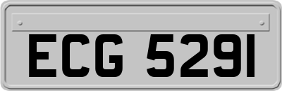 ECG5291