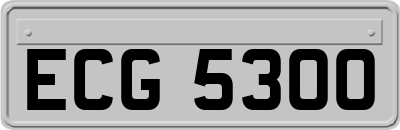ECG5300
