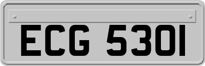 ECG5301