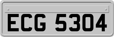 ECG5304