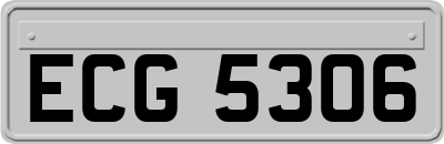ECG5306