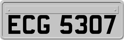 ECG5307