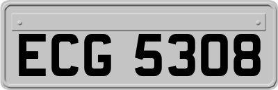 ECG5308