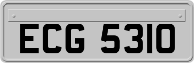 ECG5310