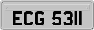 ECG5311