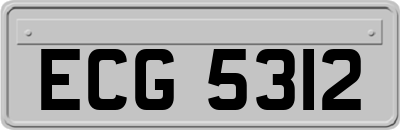 ECG5312