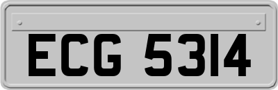 ECG5314