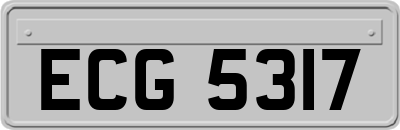 ECG5317