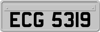 ECG5319