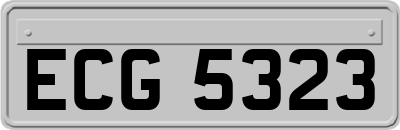 ECG5323