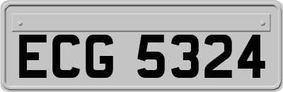 ECG5324