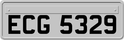 ECG5329