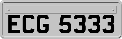 ECG5333