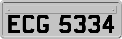 ECG5334