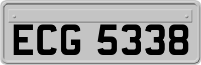 ECG5338