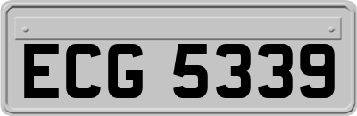 ECG5339