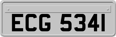 ECG5341