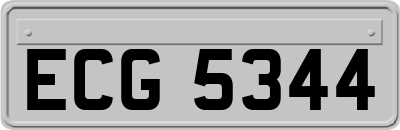 ECG5344