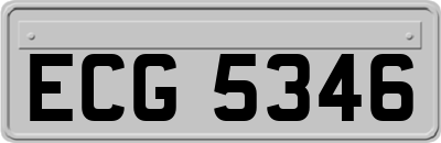 ECG5346